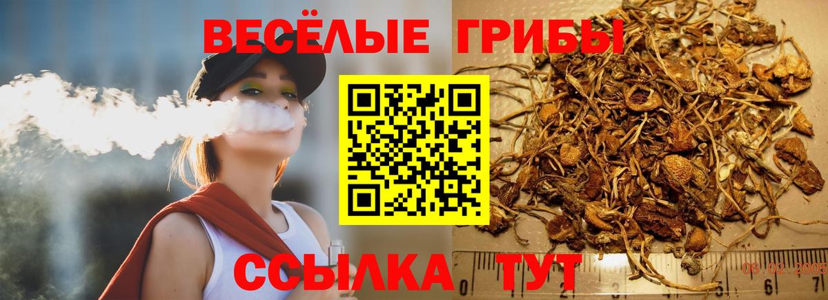 Псилоцибиновые грибы Magic Shrooms  Вход с VPN  Балтийск 